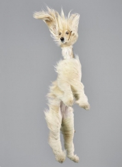 Fotograf: Julia Christe